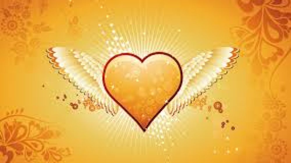 Love is in the air.